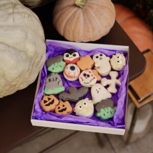 Halloweensky macarons box 15ks